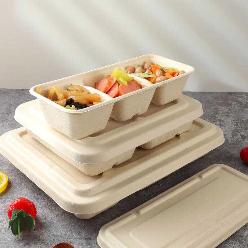 Eco-Friendly Disposable Multi-Compartment Food Containers