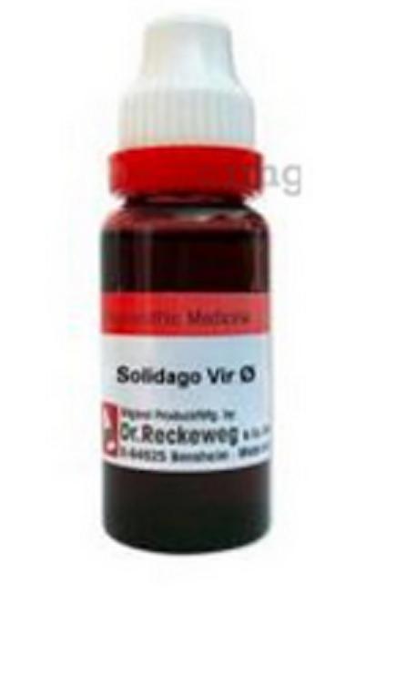 

@ Dr. Reckeweg Solidago Virgaurea Q Homeopathic Medicine 20 ml