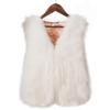 Winter Imitation Fox Fur Vest Warm Vest Women's Vest Coat