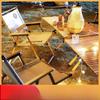 Outdoor Portable Folding Camping Chair