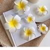 Fairy Egg Flower Hair Clip - Floral Hairpin for Girls' Beach Vacations and Photos