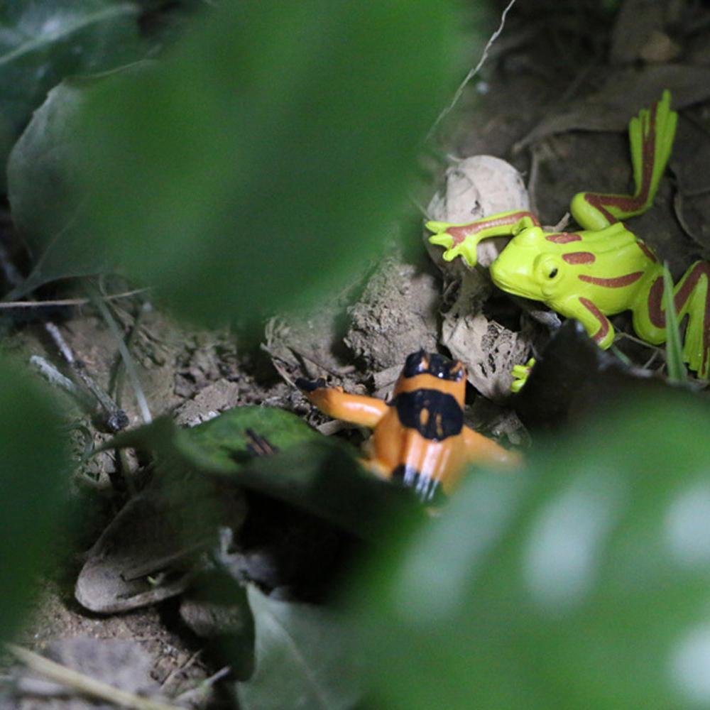 Character Figure Fun Toys Colorful Realistic Frog Action Figures Frogs Model Toys Assorted Frog