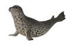 Collecta Sammelfigur, Seelöwe, 3+; 1 Stück