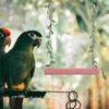 With Cotton Rope Parrot Swing Toy Wood Bird Cage Stand Stick Parrot Claw Grinding Stick  Finches