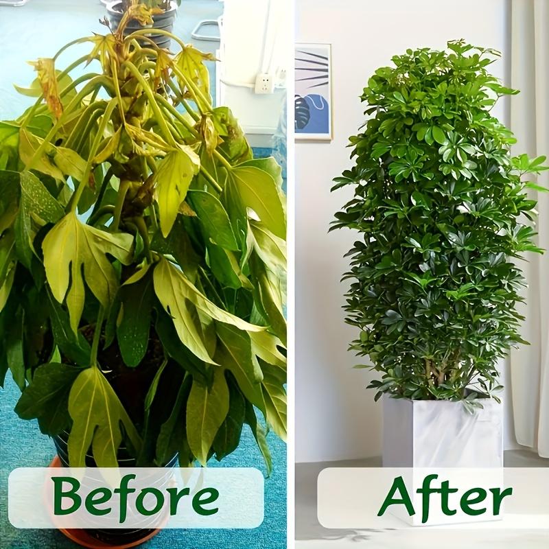 Cegły z włókna kokosowego - niska przewodność elektryczna i zrównoważone pH, kwadratowy kształt do ogrodnictwa i sadzenia w glebie z włókna kokosowego