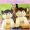 Husky Plush Toy With Bell For Kids And Adults Home Decor Gift
