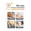USB-betriebene smarte interaktive Hundespielzeuge lindern Langeweile mit Knotenseil, smarter rollender Ball, lustiger smarter Hundespielzeugball