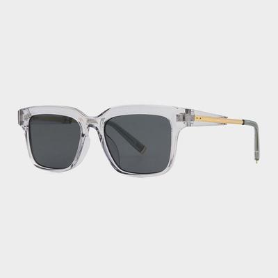 NeoRetro 10003R Sunglasses Transparent Gray CLAIR