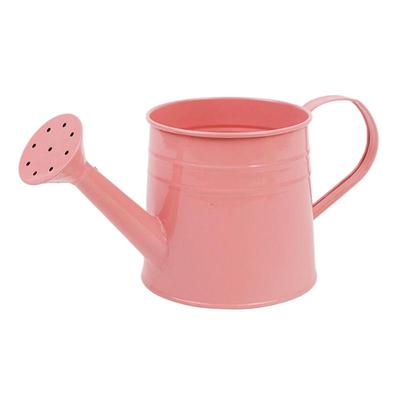 Pflanzen Gießkanne 1L Langer Ausguss Gießkanne Für Pflanzen Blumenarrangement Eimer Metallvase Für Gartenarbeit Im Freien Und Innen