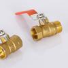 Multipurpose 3/4 Inch BSP DN20 Brass Round Valves Convenient for Water Systems with Male and Female Thread Designs