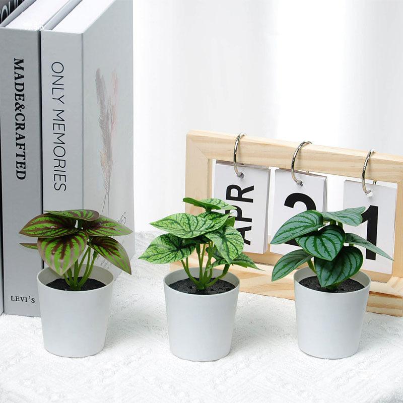 INS Style Small Artificial Grass Plant Ornaments for Indoor Decoration and Flower Display