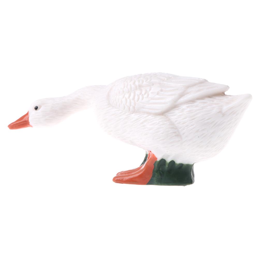 animal Figure Simulation Model Nature Toy Gifts