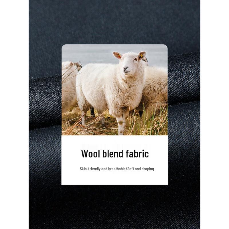 Cai Zi Men's Straight-Leg Business Casual Trousers