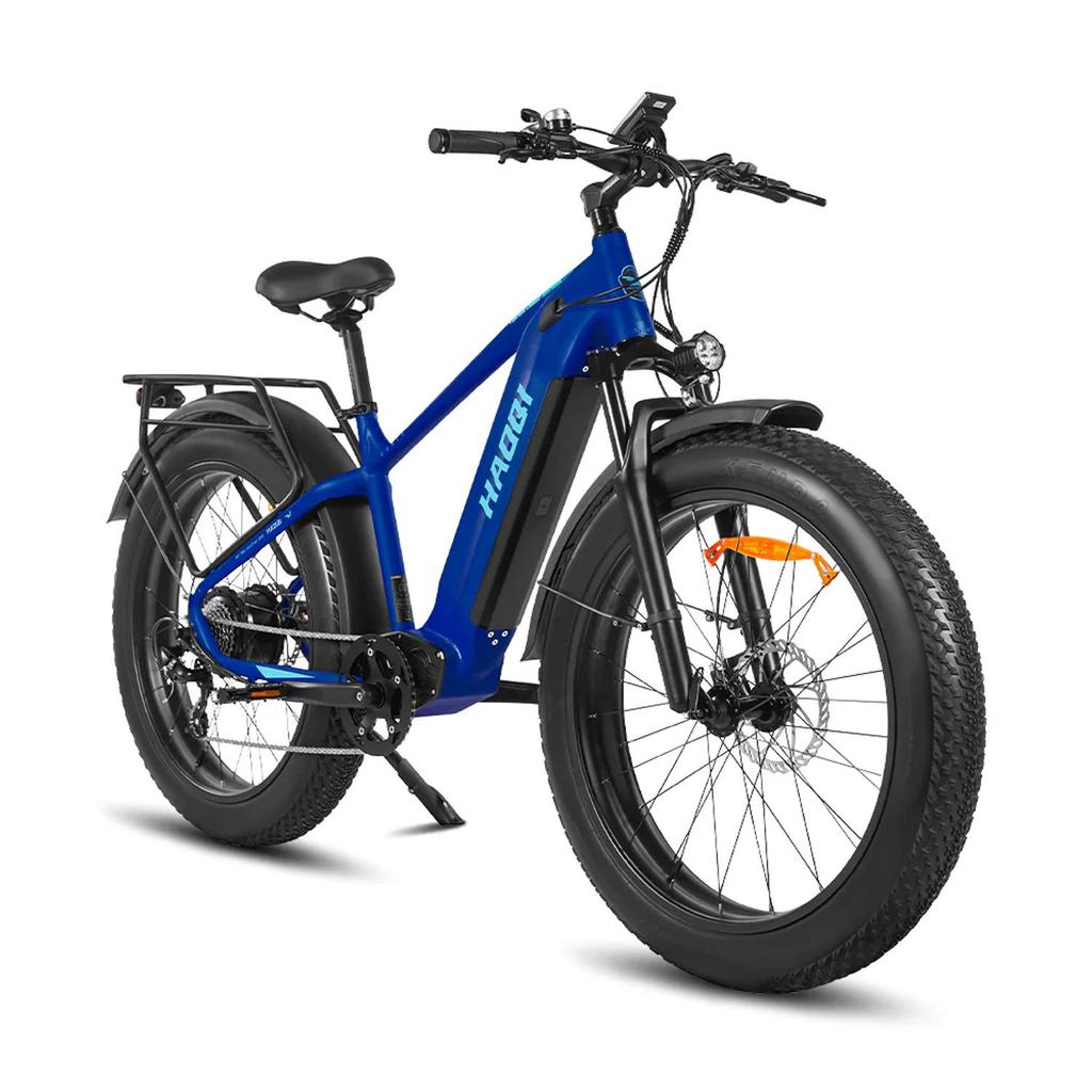 HAOQI Eagle 2.0 Step Over All-Terrain Adult Electric Bike 48V20Ah Battery 250W Motor Electric Bicycle  26 Inch Off-Road Tires E-Mountian Bike