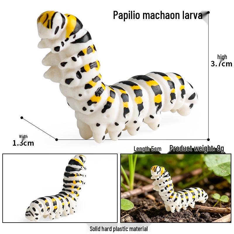 Cognitive Toy: Swallowtail Butterfly Larva Model