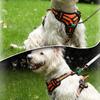 Adjustable Dog Harness Vest Pet Reflective Breathable Vest Chest Strap for Small Medium and Large Dogs for Outdoor Walking