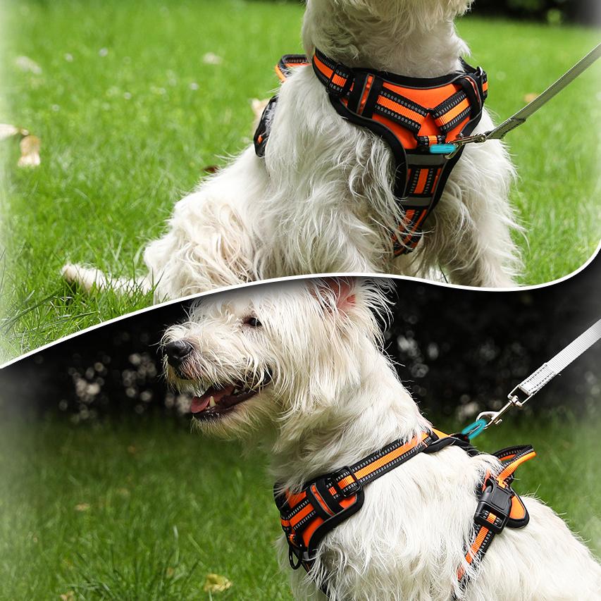 Adjustable Dog Harness Vest Pet Reflective Breathable Vest Chest Strap for Small Medium and Large Dogs for Outdoor Walking