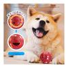 Dog Toy Chewing Treat Ball, Dog Prevents Early Eating, Feeding Ball, Educational Toy, Dog Chewing Toy, Durable, Dog Toy, Teeth Cleaning, Lack of
