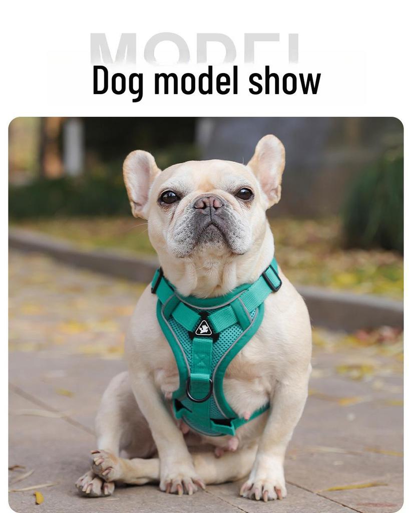 Reflektierendes Atmungsaktives Ausbruchsicheres Geschirr im Westenstil für Kleine Hunde und Katzen