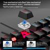 Zero Point Pact RGB Mechanical Gaming Keyboard