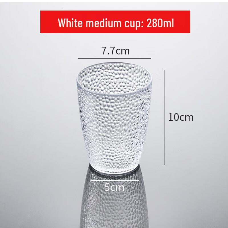 

Homeglen Acrylic Frosted Beverage Cups