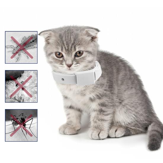 Yousheng 5 Pezzi Collari per Animali Ingredienti Sicuri Regolabile Rilascio Rapido Effetto a Lunga Durata Facile da Indossare Collare per Cucciolo Protezione da Pulci e Zecche Cerchio per il Collo Animale