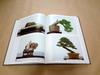 [USED] Collection of works, catalogue "The 12th Nippon Bonsai Taikan Exhibition