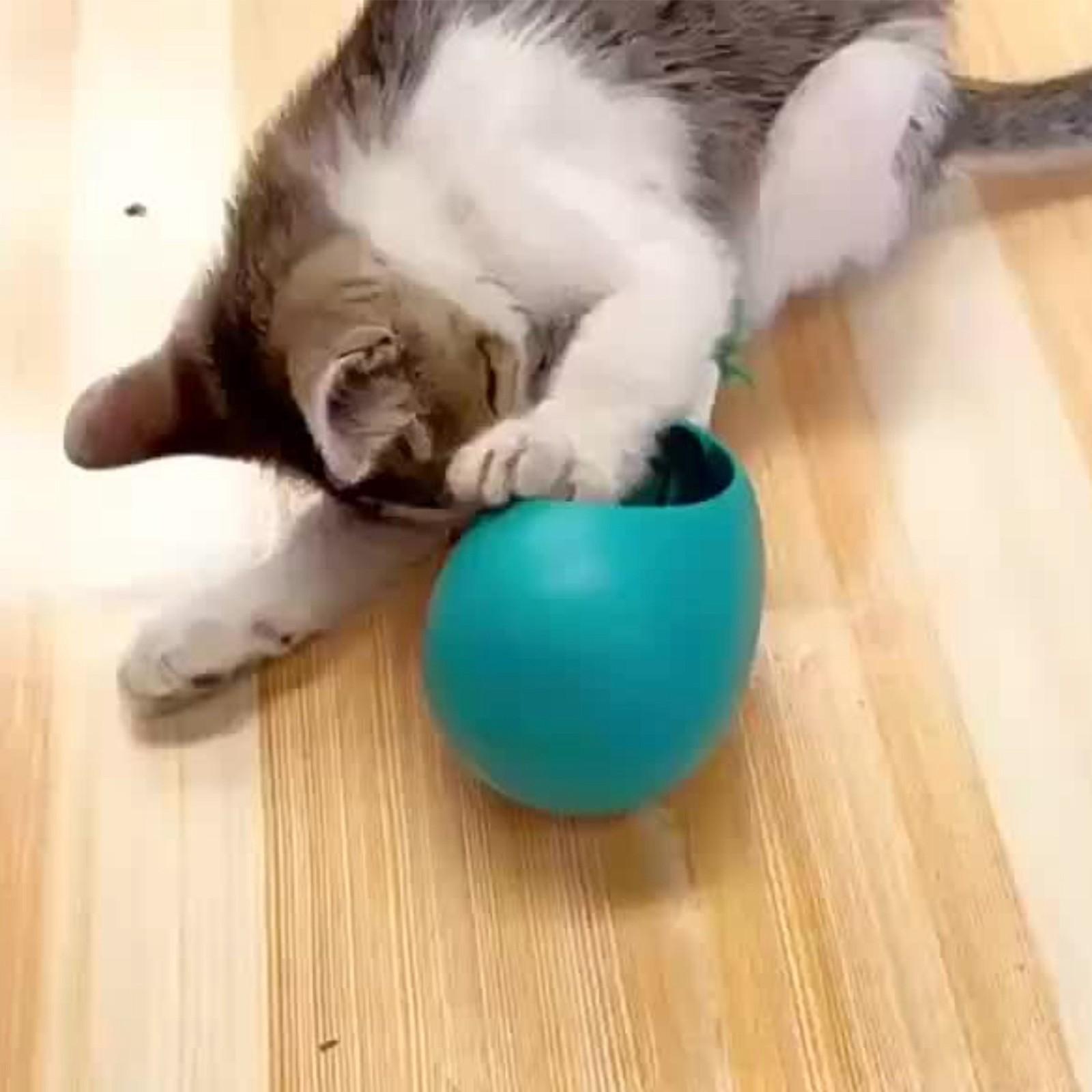 Mint Ball Tumbler Toy Stick Teething Stick Pet Teeth Cleaning Wood Toy One Size синий