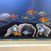Aquarium Decor Gravel Tunnel Cave Ornament with Natural Curve Design for Fish Tank Habitat Enhancement