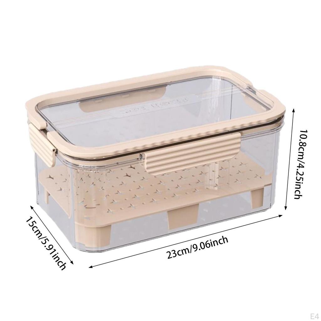 Camping Food Storage Box for Fruits with Handle Clear Container Outdoor Use