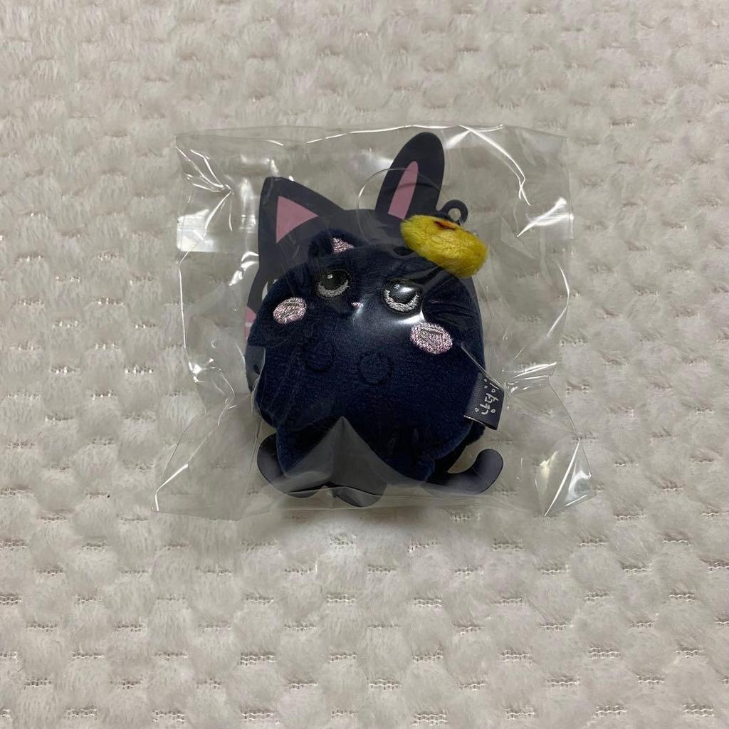 Used RIIZE Won Bin Tonyanduk Mini Key Ring
