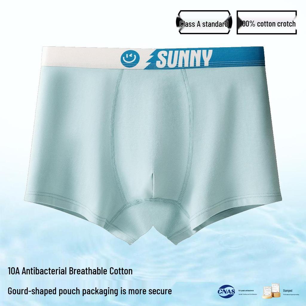 Men's Plus Size 100% Cotton Antibacterial Boxer Briefs