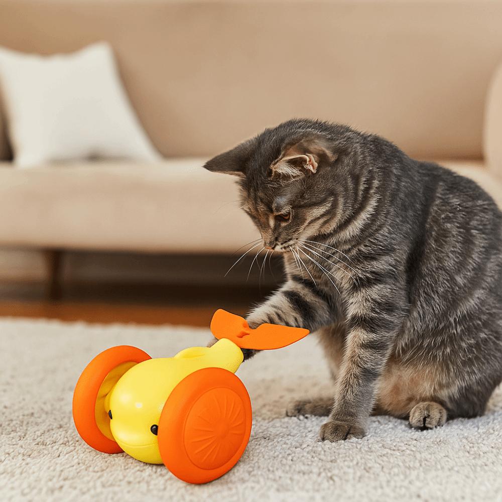 USB Charging Cat Interactive Whale Interactive Plastic Cat Teaser Running Car Automatic Rolling Ball for Cats and Dogs