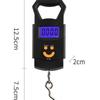 Zhi Shi Handheld Electronic Scale
