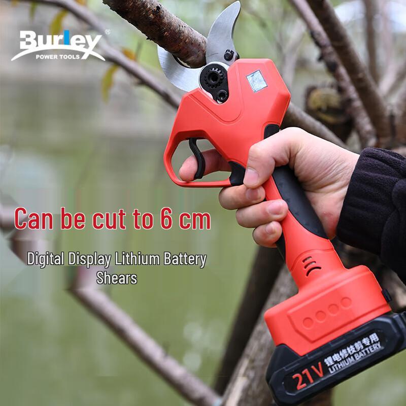 Bolei Cordless Electric Pruning Shears CN plug (adapter included) 1