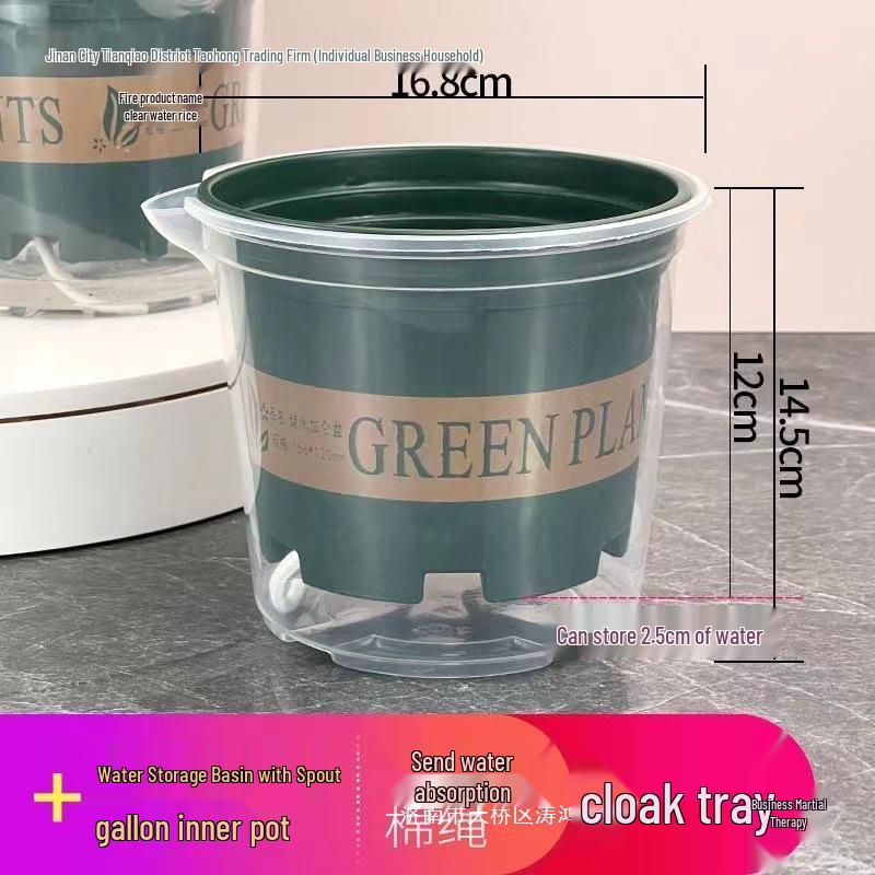 Pothos Transparent Self-Watering Anti-Root Rot Hydroponic Pot