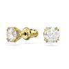 Constella Stud Earrings 5642595