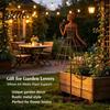 Artistic Garden Sculpture for Outdoors Vintage Lady Trellis Stake Rustic Metal Silhouette Plant Support Climbing Botanical Decor Outdoor Spaces Vines