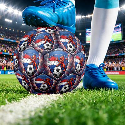 Netherlands Football Printed Size 5 Soccer Ball Wear Resistant Standard Adult Training Football Fan Gift for Indoor Outdoor Match Sports