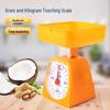 Third Grade Mechanical Kitchen Scale for Student Learning (Kilogram & Gram Measurement)