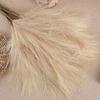 Decorative Reed Pampas Artificial Flower Living Room Decoration Fake Flowers Green Plants Wedding Crafts Shooting Props