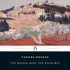 The Moon and the Bonfires by Cesare Pavese Paperback Book 9780241370544
