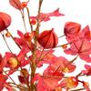 Mini Maple Ornaments Plastic Artificial Flower Home Furnishing Soft-Mounted Desktop Ornament