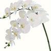 1PC of Retro White Orchid Artificial Butterfly Orchid, Long Stem, Ideal for Home and Kitchen Decoration, Desktop Display, Butterfly Orchid Decoration.
