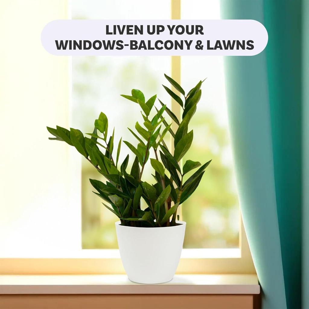 Pack of 12 Flower Pot | Flower Pot for Living Room-Office | Flower Planters for Home-Office-Lawns & Garden Decor