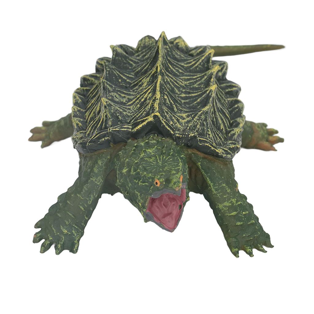 Snapping Tortoise Model High Simulation Hand Painted Animal Model Toys for Home Decorations Gifts