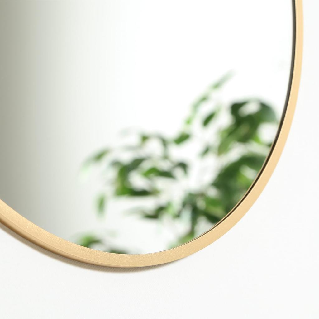 Fuji Boeki Wall-Mounted Mirror, Aluminum Frame, 45cm Diameter, Round, Gold, 41407