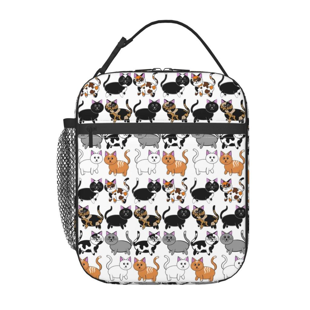 Cartoon Colour Kitten Pattern Insulated Lunch Bag for Women Kids Leakproof Food Boxes Thermal Lunch Box Tote