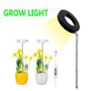 Retractable Succulent Grow Lamp 3 Lighting Modes Growing Phytolamp Useful LED Plant Light  Flower