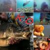 Colorful Worm Bait, PP Plastic, Floating Fish Lure, for Carp Fishing, Multi-Scent, Insect Shape, Fishing Tackle, Outdoor Sport,
